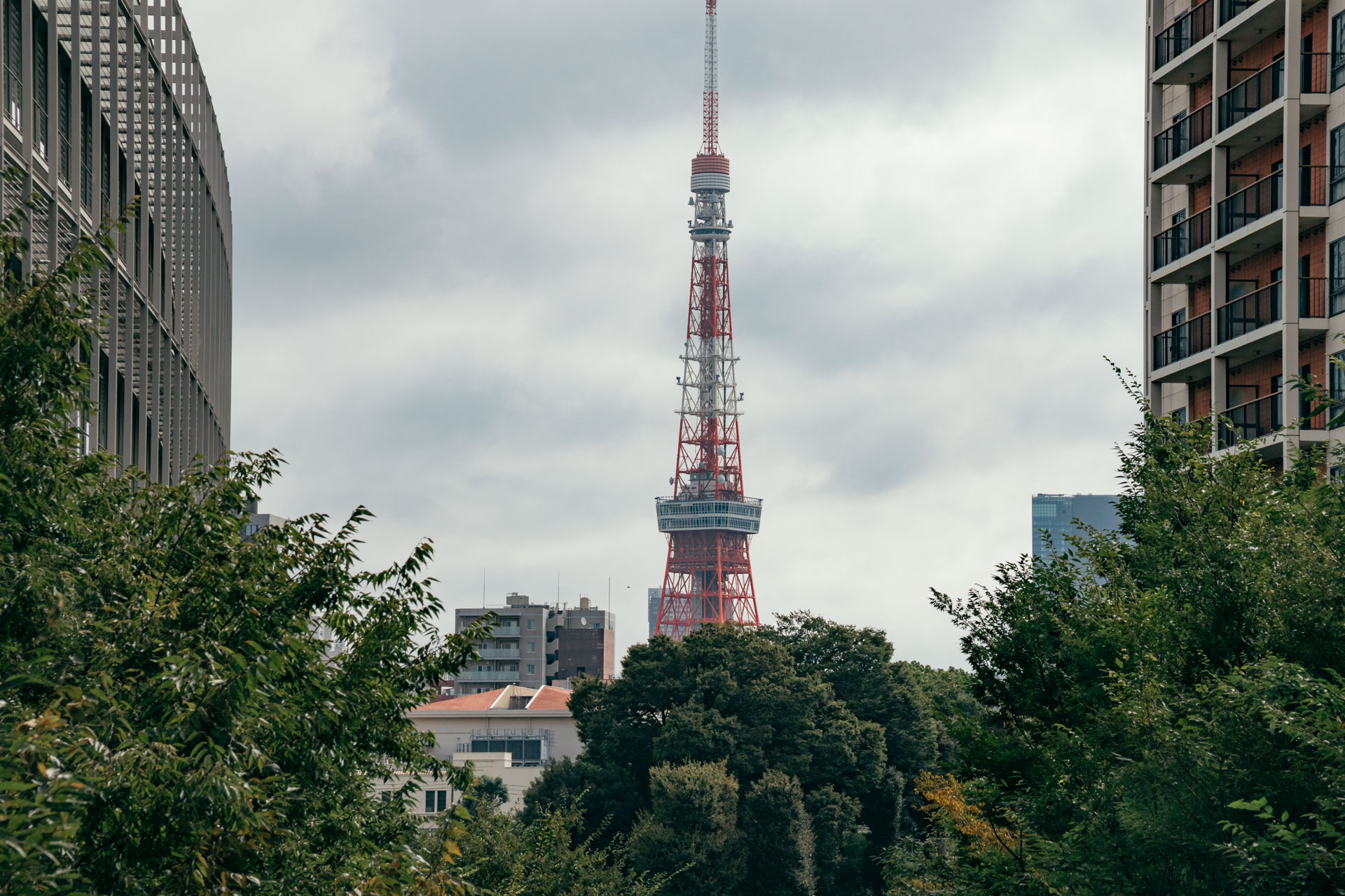 ビルのあいだに見える東京タワー